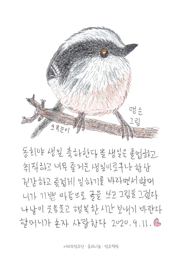 정맹순 작가의 오목눈이 그림(손자에게 쓴 탐조(探鳥)레터)