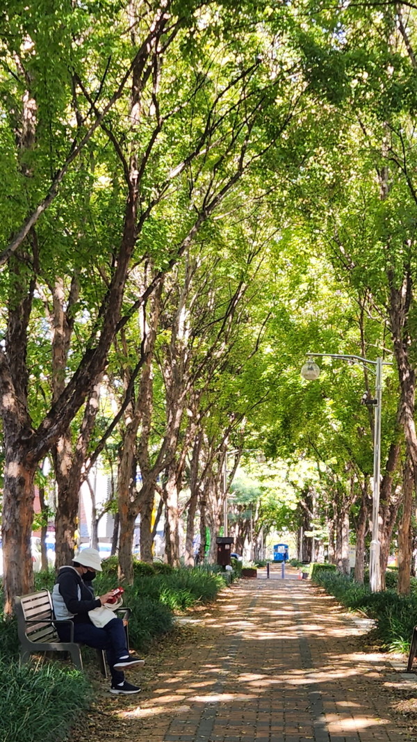 옛 수인선 철길을 따라 곧게 뻗은 수인선 세류공원.