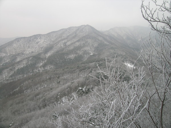 겨울철 광교산에 눈이 내린 모습.