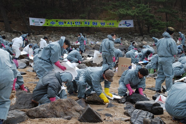 지난 2007년 태안 기름 유출 사고 현장에서 수원시 자원봉사자들이 기름을 닦아내고 있다.