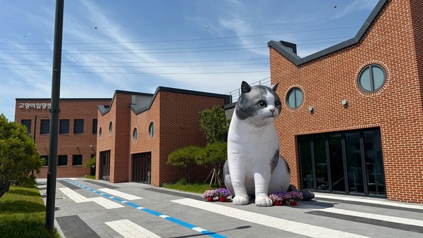 고양이 입양센터.