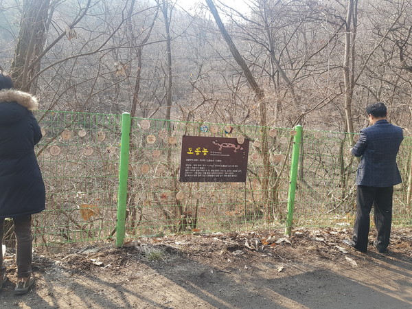 수원시 공무원과 환경단체 관계자가 양서류 서식지 주변 보호망에 양서류 보호 메시지를 담은 나뭇조각을 달고 있다.
