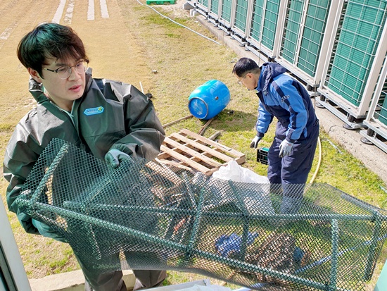 수원도시공사(사장 이부영)가 휴관중인 사업장에 대한 대대적인 정비활동을 벌이고 있는 가운데 지난 2월 화산체육공원 직원들이 골프장 시설을 보수하고 있다.