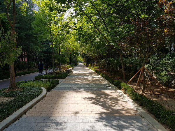 후곡2_5단지 사잇길