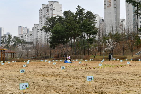권선구 호매실동 물향기공원에 조성돼 있는 도심 속 시민농장.