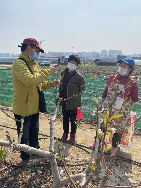 전문가가 핵과류 재배 농가에서 재배기술을 설명하고 있다.<br><br>
