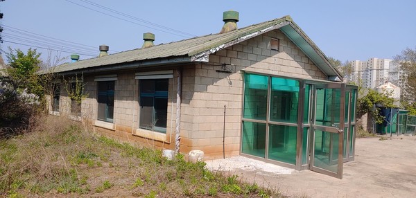 수탉계사.