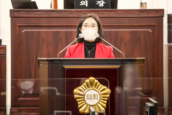 조오순 의원 5분 발언.