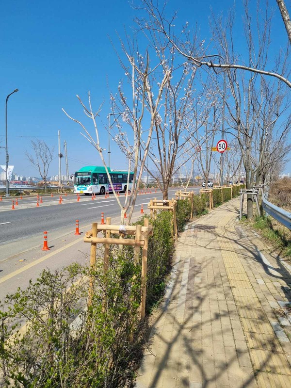 금곡로 가로숲길