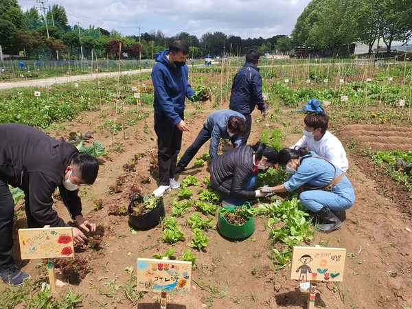 탑동 시민농장 교육텃밭에서 ‘치유농업 프로그램’을 진행하는 모습.